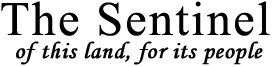 sentinelassam.com